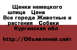 Щенки немецкого шпица › Цена ­ 20 000 - Все города Животные и растения » Собаки   . Курганская обл.